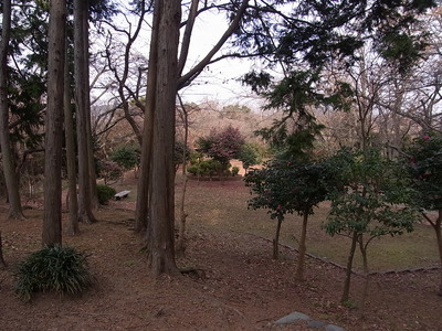 源氏山公園
